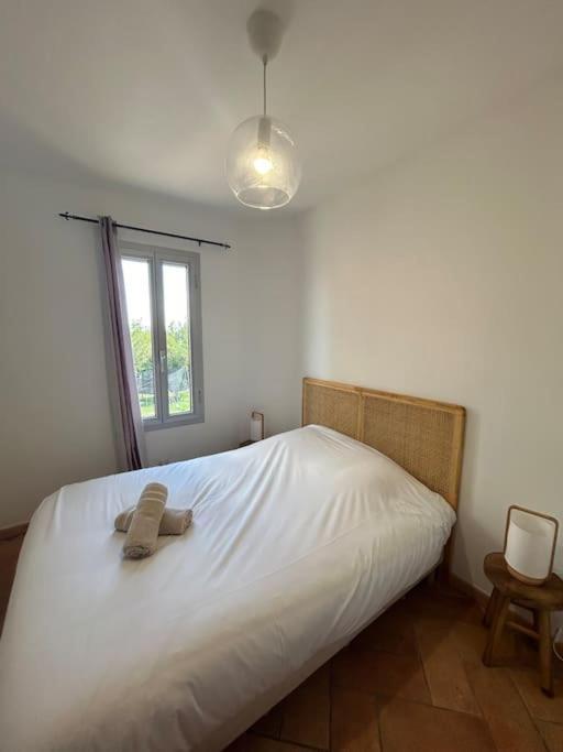 Estrambord Terrasse Camargue *