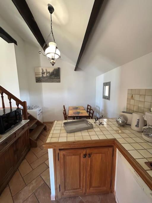 Estrambord Terrasse Camargue Appartement Arles