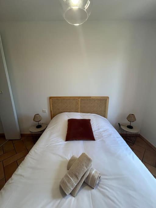 Estrambord Terrasse Camargue Appartement Arles