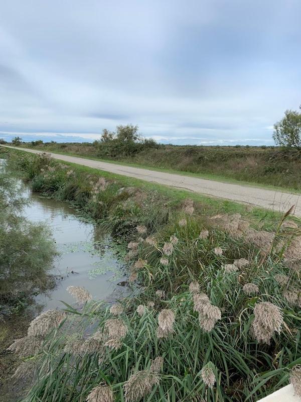 Estrambord Terrasse Camargue Arlés